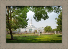 Load image into Gallery viewer, Medford Daydream