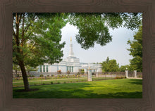 Load image into Gallery viewer, Medford Daydream