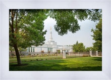 Load image into Gallery viewer, Medford Daydream