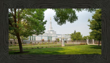 Load image into Gallery viewer, Medford Daydream