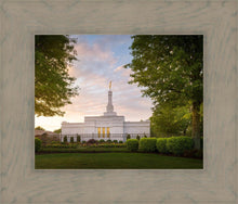 Load image into Gallery viewer, Nashville Trees