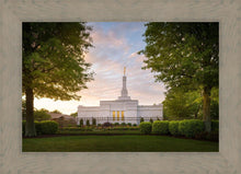 Load image into Gallery viewer, Nashville Trees
