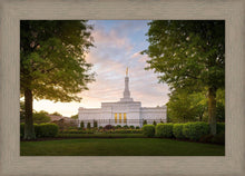 Load image into Gallery viewer, Nashville Trees