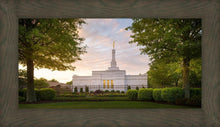Load image into Gallery viewer, Nashville Trees