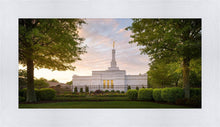 Load image into Gallery viewer, Nashville Trees