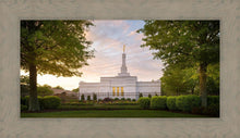 Load image into Gallery viewer, Nashville Trees
