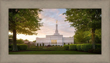 Load image into Gallery viewer, Nashville Trees