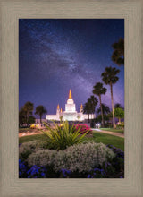 Load image into Gallery viewer, Oakland Starry Eyed