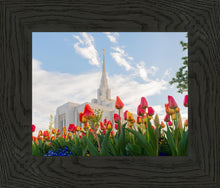 Load image into Gallery viewer, Ogden Flowers