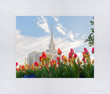 Load image into Gallery viewer, Ogden Flowers