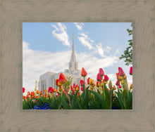 Load image into Gallery viewer, Ogden Flowers