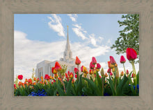 Load image into Gallery viewer, Ogden Flowers