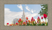 Load image into Gallery viewer, Ogden Flowers