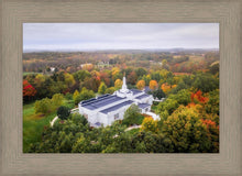 Load image into Gallery viewer, Palmyra and Sacred Grove Aerial