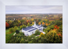Load image into Gallery viewer, Palmyra and Sacred Grove Aerial