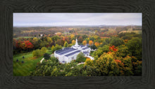 Load image into Gallery viewer, Palmyra and Sacred Grove Aerial