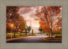 Load image into Gallery viewer, Palmyra Autumn