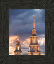Load image into Gallery viewer, Philadelphia Inspire