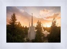 Load image into Gallery viewer, Portland High Glow