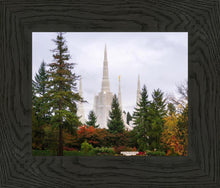 Load image into Gallery viewer, Portland Temple Forest Through The Trees