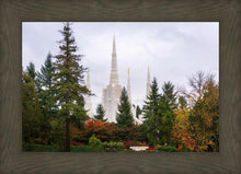 Load image into Gallery viewer, Portland Temple Forest Through The Trees