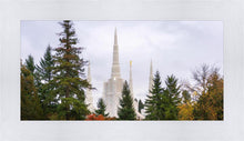 Load image into Gallery viewer, Portland Temple Forest Through The Trees