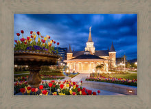 Load image into Gallery viewer, Provo City Center - April Showers Bring May Flowers