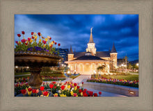 Load image into Gallery viewer, Provo City Center - April Showers Bring May Flowers