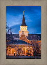 Load image into Gallery viewer, Provo City Center Blue and Gold