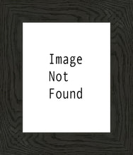 Load image into Gallery viewer, Renewed Mesa Arizona