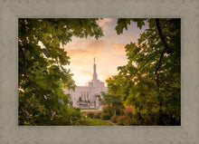 Load image into Gallery viewer, Reno Gardens