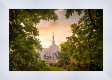 Load image into Gallery viewer, Reno Gardens