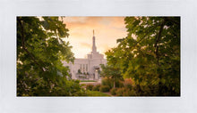 Load image into Gallery viewer, Reno Gardens