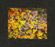 Load image into Gallery viewer, Sacred Grove Autumn From Heaven