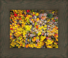 Load image into Gallery viewer, Sacred Grove Autumn From Heaven