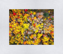 Load image into Gallery viewer, Sacred Grove Autumn From Heaven