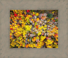 Load image into Gallery viewer, Sacred Grove Autumn From Heaven