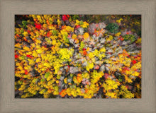 Load image into Gallery viewer, Sacred Grove Autumn From Heaven