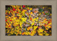 Load image into Gallery viewer, Sacred Grove Autumn From Heaven