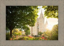 Load image into Gallery viewer, Salt Lake - The Lord is My Light