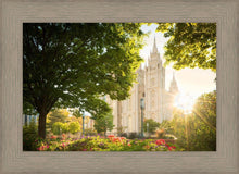 Load image into Gallery viewer, Salt Lake - The Lord is My Light