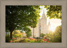 Load image into Gallery viewer, Salt Lake - The Lord is My Light