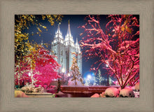 Load image into Gallery viewer, Salt Lake City Christmas Lights