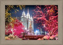 Load image into Gallery viewer, Salt Lake City Christmas Lights