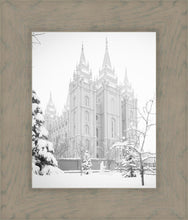 Load image into Gallery viewer, Salt Lake City High Key Snow