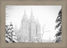Load image into Gallery viewer, Salt Lake City High Key Snow