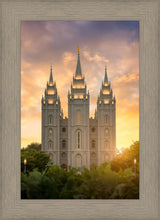 Load image into Gallery viewer, Salt Lake Golden