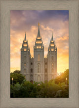 Load image into Gallery viewer, Salt Lake Golden