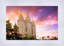 Load image into Gallery viewer, Salt Lake Tulips