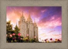Load image into Gallery viewer, Salt Lake Tulips